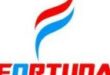 Gaji PT Fortuna Group