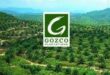 Gaji PT Gozco Plantations Tbk