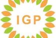 Gaji PT IGP Internasional
